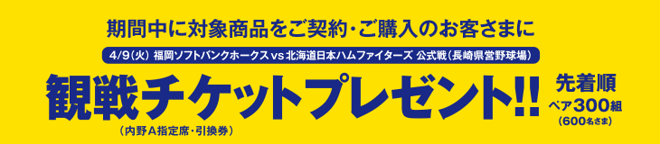 キャンペーン期間中に対象商品をご契約・ご購入のお客さま先着ペア300組(600名さま)に観戦チケットプレゼント